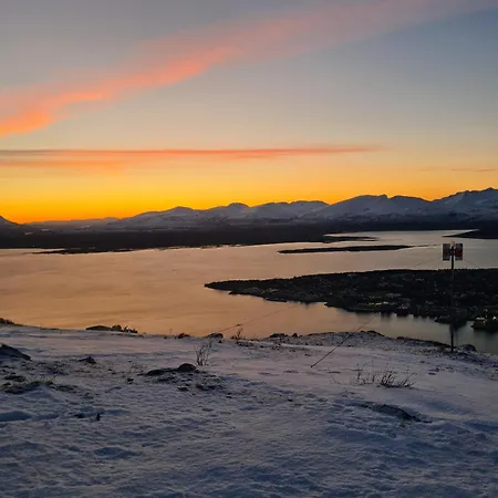 Cozy - Unique Paintings *