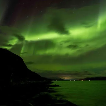 شقة Cozy - Unique Paintings