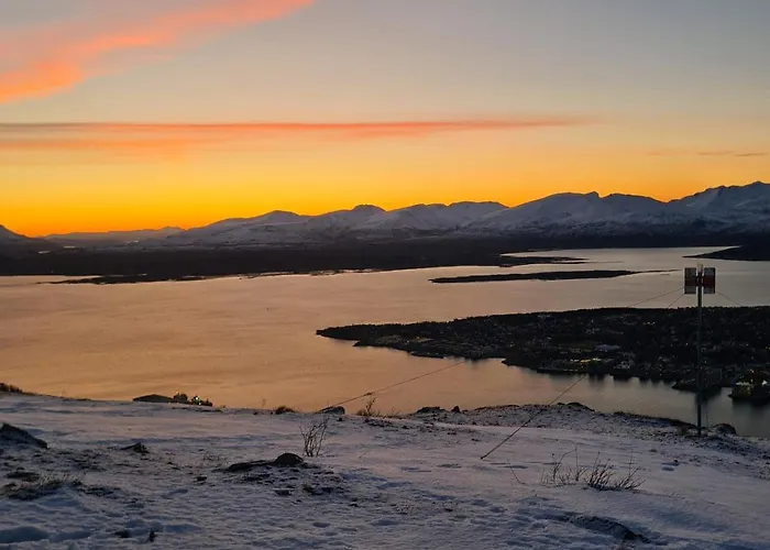 Cozy - Unique Paintings *