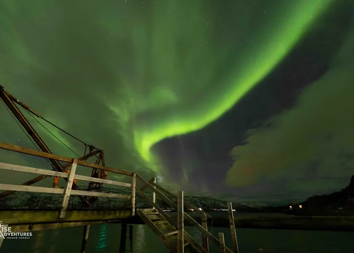 Apartamento Cozy - Unique Paintings